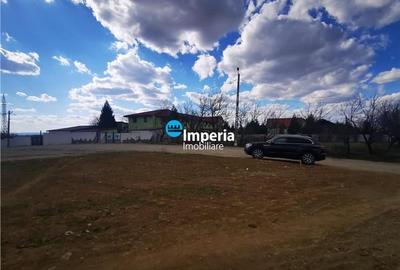 Teren Construcții intravilan de 8600 mp, în Bucium - 2