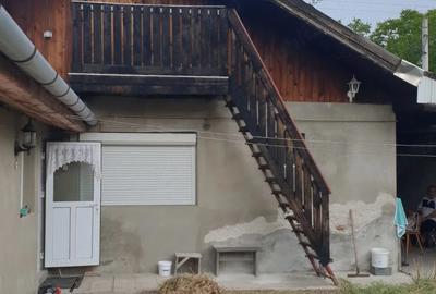 Casă cu Teren 460 Mp în Mehala - 4
