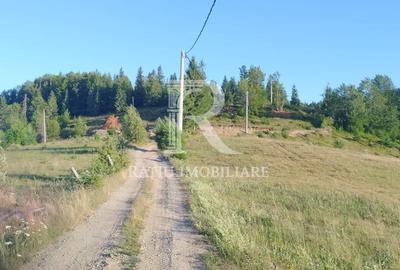 Teren de 3000 mp, în Pleșcuța