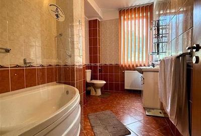 Casă individuală cu 10 camere cu Piscina în Malul Ursului - 24