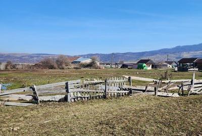 Teren de 4000 mp, în Pianu - 3