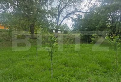 Teren în Central