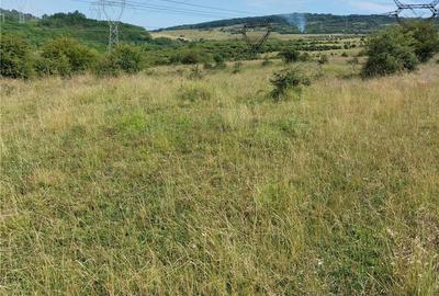Teren de 4200 mp, în Nord - 1