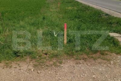 Teren de 7500 mp, în Tărlungeni
