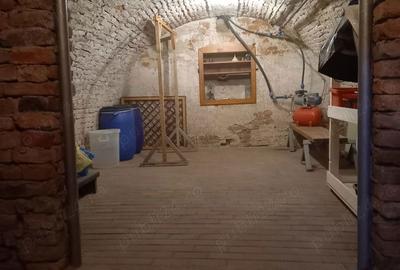Casă cu 2 camere în Carei