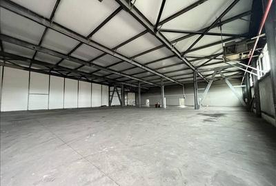 Spațiu comercial, de 3,290 mp, în Carani