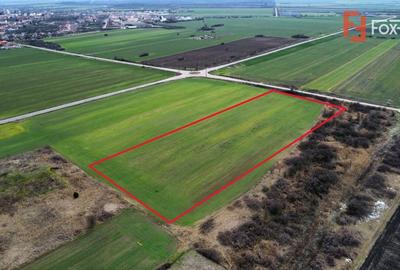 Teren Construcții intravilan de 25000 mp, în Deta - 5