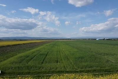 Teren de 395 mp, în Prejmer - 4
