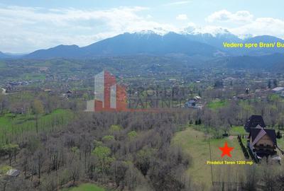 Teren Construcții intravilan de 1200 mp, în Bran - 4