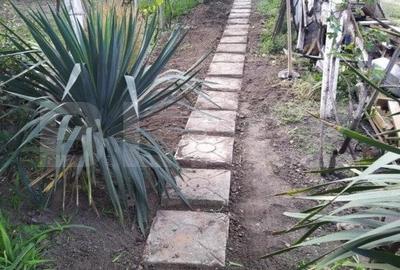Casă cu 3 camere cu Teren 900 Mp în Elisabetin - 2