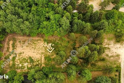 Teren de 3000 mp, în Porumbacu de Jos - 11