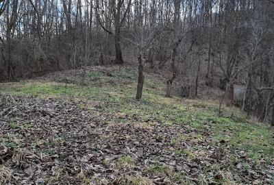 Casă cu Teren 5000 Mp în Central