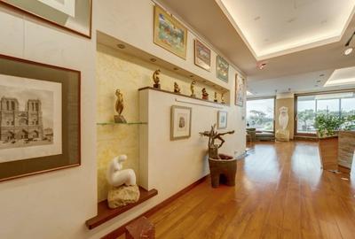 Penthouse cu 6 camere decomandat în Herăstrău - 11