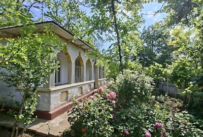 Casă cu Teren 2600 Mp în Movila Miresii - 2