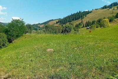 Teren de 5800 mp, în Dămuc