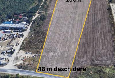 Teren Construcții intravilan de 25160 mp, în Glina - 2