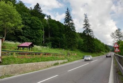 Teren Construcții intravilan de 3999 mp, în Sud - 3