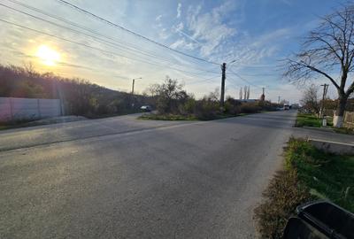 Teren agricol intravilan de 2458 mp, în Bulbucata - 6