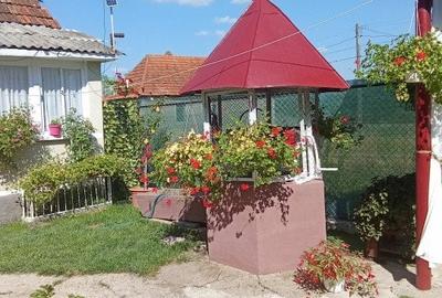 Casă individuală cu 3 camere cu Canalizare în Josani (Măgești) - 2