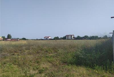 Teren de 600 mp, în Frumușani