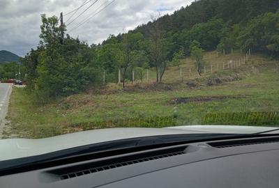 Teren Construcții extravilan de 1953 mp, în Livezile - 3