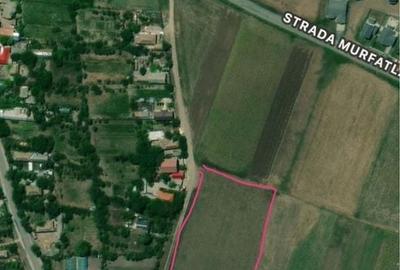 Spațiu comercial, în Medgidia - 3