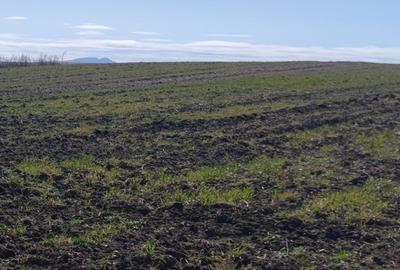 Teren de 5800 mp, în Aiton - 4