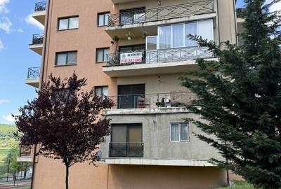Apartament cu 2 camere semidecomandat, mobilat în Chinteni - 10
