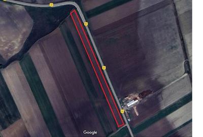 Teren agricol extravilan de 8000 mp, în Oneaga - 5