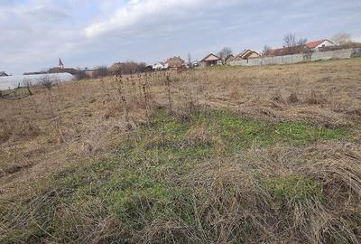 Casă cu Teren 1500 Mp în Nițchidorf - 4