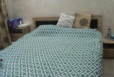 Apartament cu 2 camere decomandat în Nicolae Bălcescu - 6