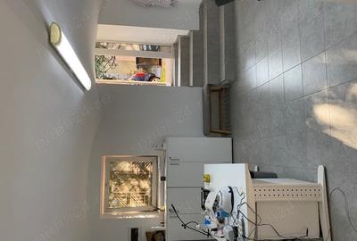 Spațiu comercial, de 96 mp, în Iosefin - 11