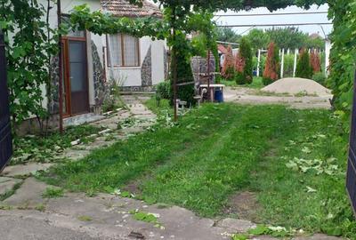 Casă cu 4 camere cu Teren 1202 Mp în Șagu - 7