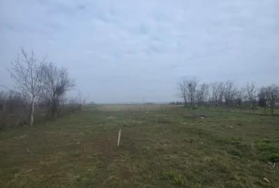 Teren de 5000 mp, în Rovine - 3
