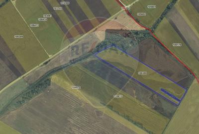 Teren agricol extravilan de 40000 mp, în Nord-Est - 5