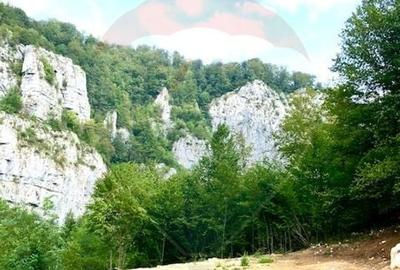 Teren Construcții de 1127 mp, în Remeți - 1