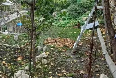 Casă cu 3 camere cu Teren 1000 Mp în Central - 5