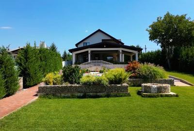 Casă individuală cu 9 camere cu Piscina în Brănești - 6