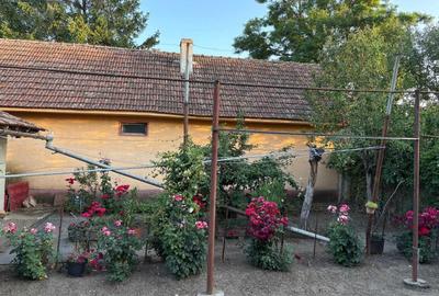 Casă cu 4 camere în Semlac - 15