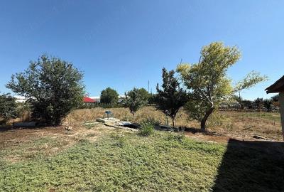 Casă în Mihai Viteazu - 1