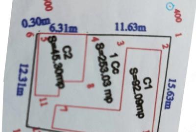 Casă cu 3 camere cu Teren 253 Mp în Central