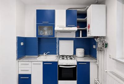 Apartament cu 2 camere semidecomandat, mobilat în Rahova - 10