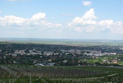 Teren de 1000 mp, în Central - 1