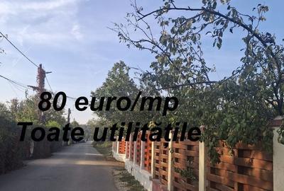 Spațiu comercial, în Balotești