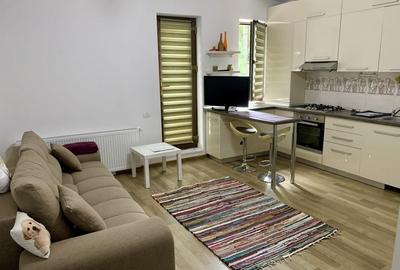 Garsonieră nedecomandată în Bucureștii Noi - 4
