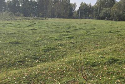 Teren de 4806 mp, în Dealu Negru