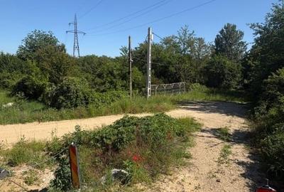 Teren Construcții intravilan de 7000 mp, în Podari - 2