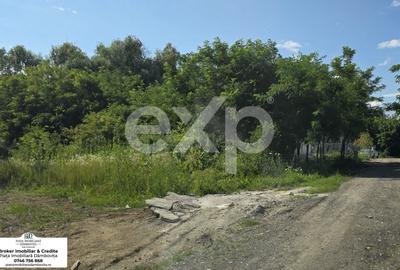 Teren Construcții intravilan de 670 mp, în Viforâta
