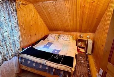Casă cu 3 camere în Muntele Băișorii - 1