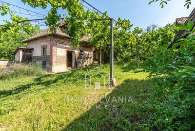 Casă individuală cu 5 camere cu Canalizare în Colonia - 4